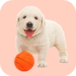 🐶 squeaky toy sounds android application logo